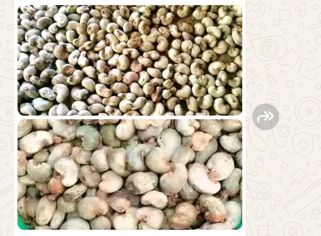 Cashew nuts
